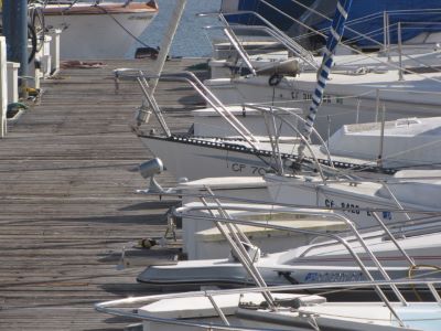boats